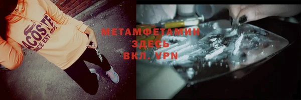 прущие грибы Аркадак