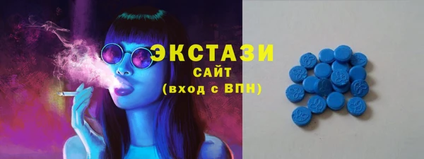 прущие грибы Аркадак