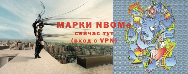 прущие грибы Аркадак