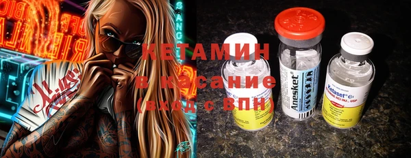 прущие грибы Аркадак